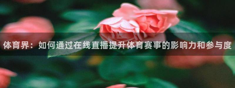 833体育：体育界：如何通过在线直播提升体育赛事的影响力和参与度