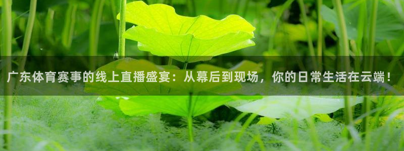 833赛事直播：广东体育赛事的线上直播盛宴：从幕后到现场，你的日常生活在云端！