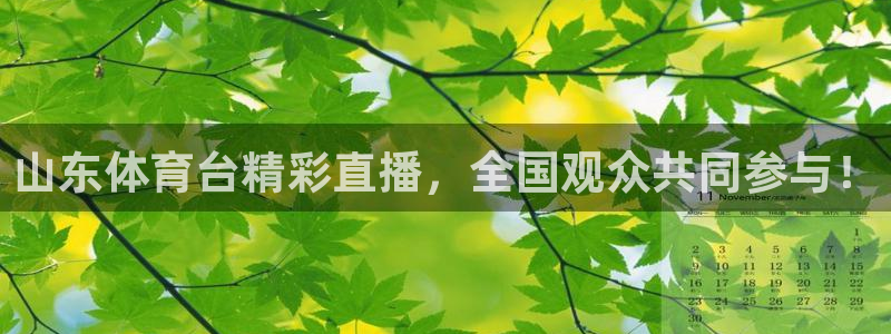 833直播nba免费观看高清直播：山东体育台精彩直播，全国观众共同参与！