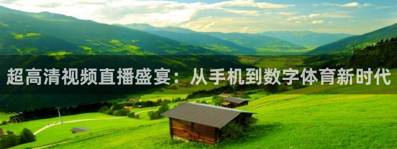 833直播足球直播：超高清视频直播盛宴：从手机到数字体育新时代