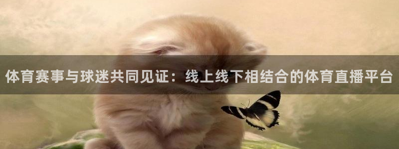 833足球直播比赛在线观看：体育赛事与球迷共同见证：线上线下相结合的体育直播平台