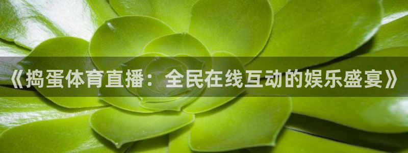 833体育：《捣蛋体育直播：全民在线互动的娱乐盛宴》