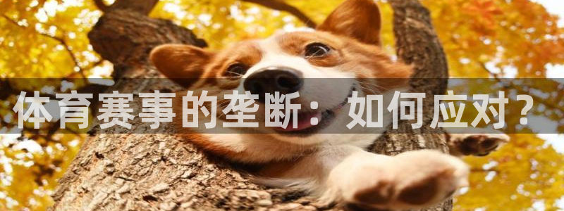 833足球直播免费完整：体育赛事的垄断：如何应对？