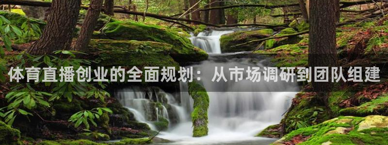 833体育在线直播在线看