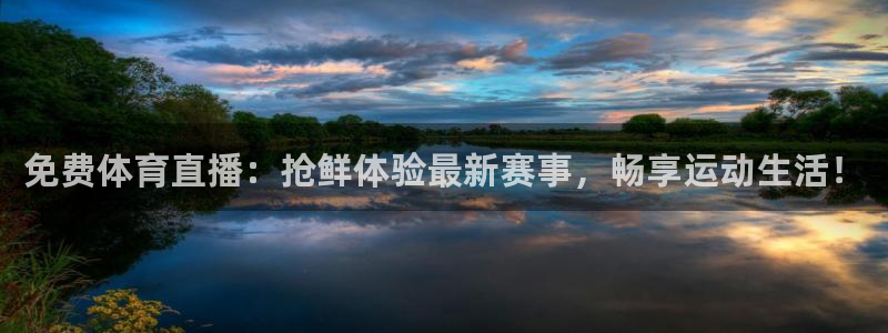 833足球直播免费完整