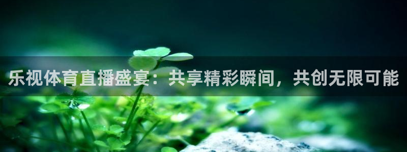 3833tv直播