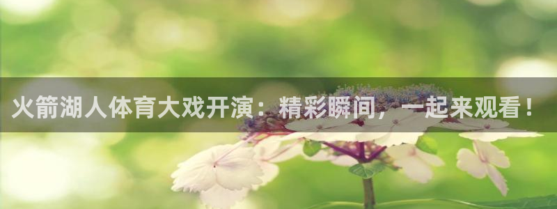 833直播足球比赛在线观看下载