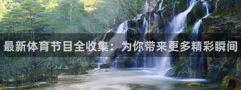 833体育免费直播