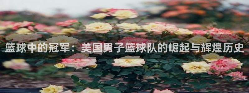 833直播：篮球中的冠军：美国男子篮球队的崛起与辉煌历史